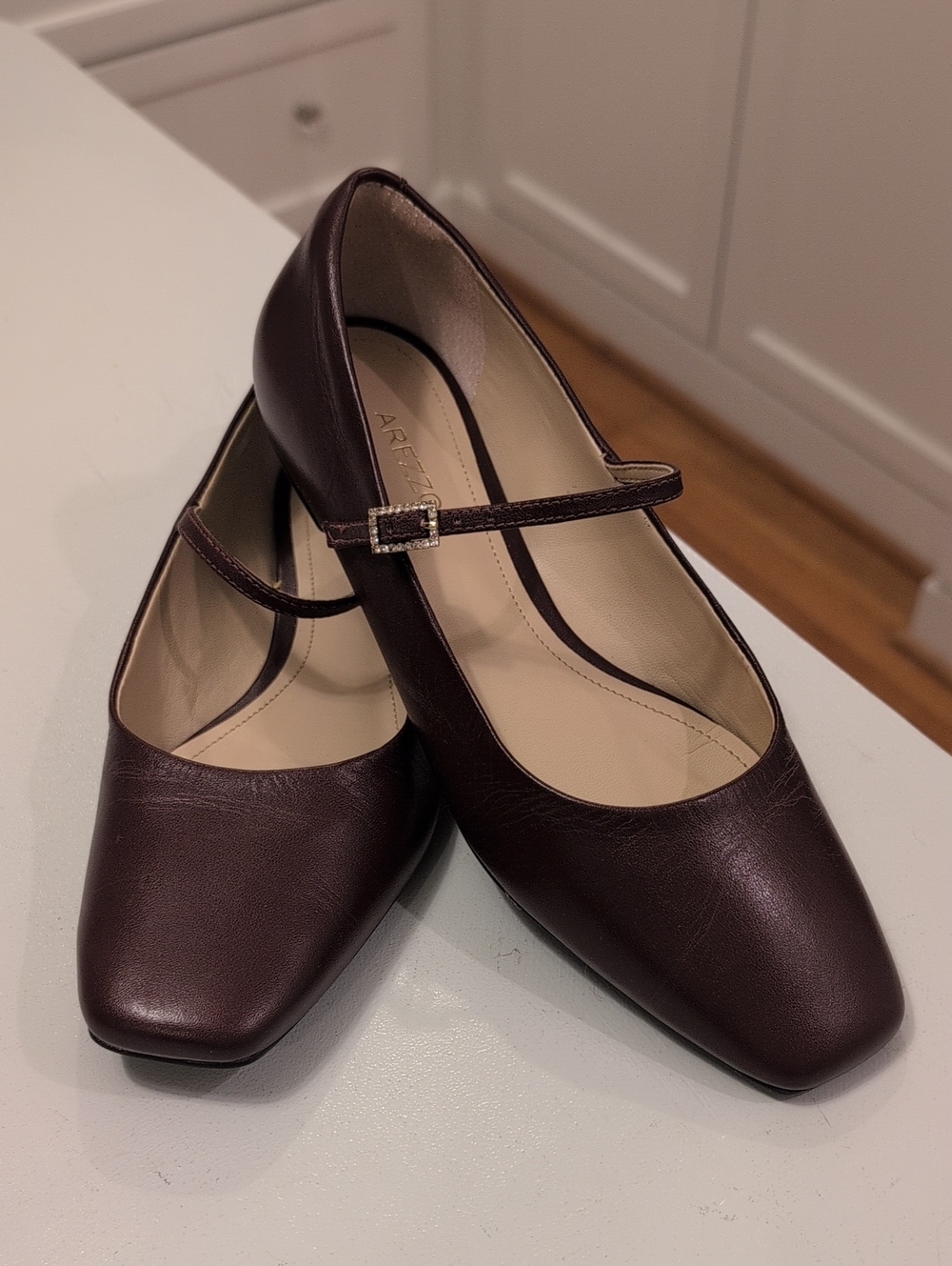 Women's Mary Jane Flats in Burgandy/Dark Brown